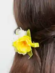 Желтый заколка для волос
