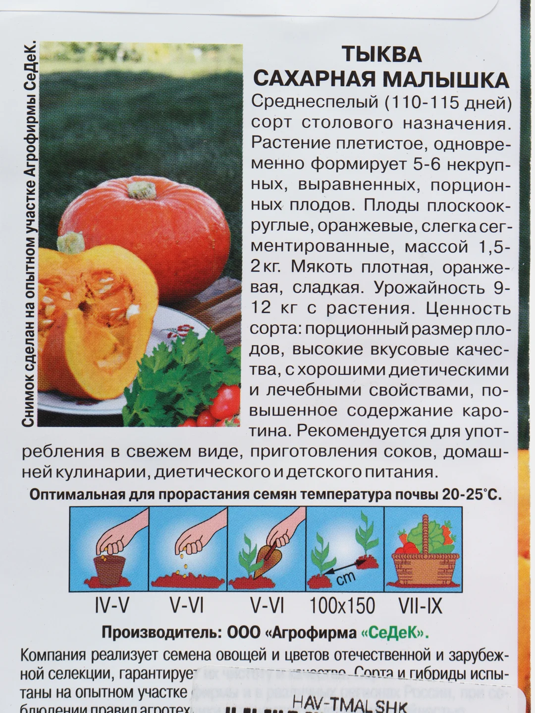 Семена Тыква "Сахарная малышка", Седек