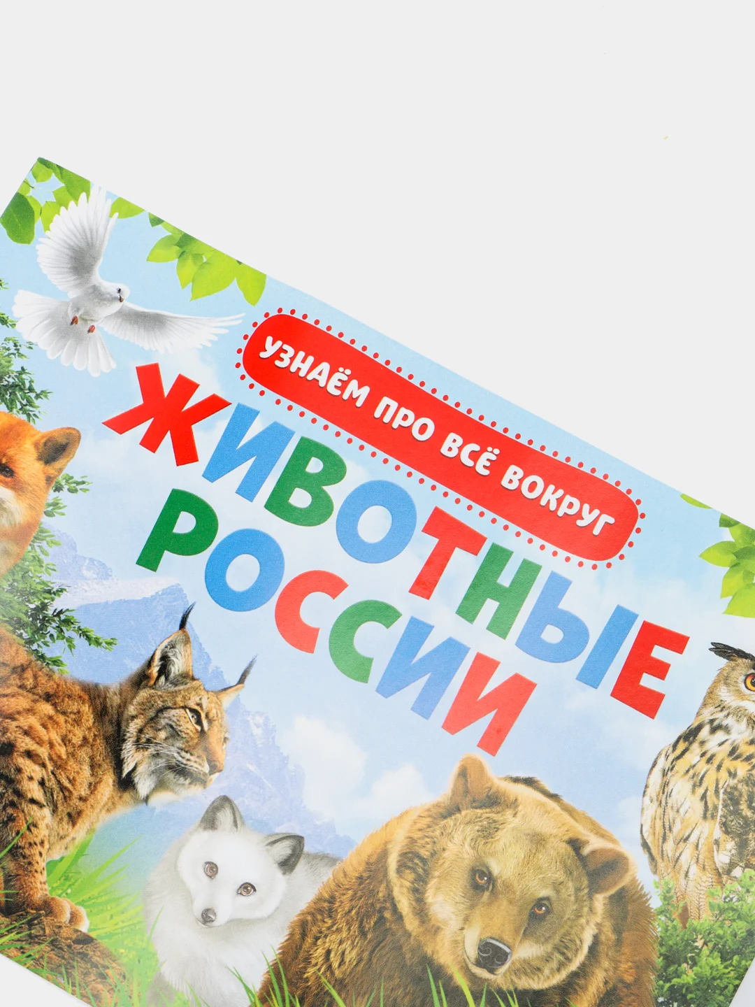 Желтый книжка для детей "Узнаём про всё вокруг"