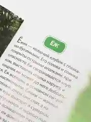 Желтый книжка для детей "Узнаём про всё вокруг"