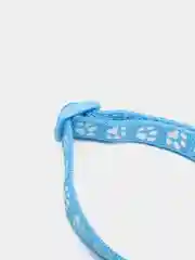 Бирюзовый ошейник для кошек. Ошейник для маленьких собак