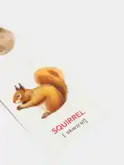 Синий книги-карточки Домана на английском языке