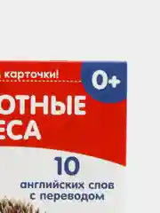 Синий книги-карточки Домана на английском языке