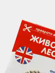 Синий книги-карточки Домана на английском языке