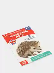 Синий книги-карточки Домана на английском языке
