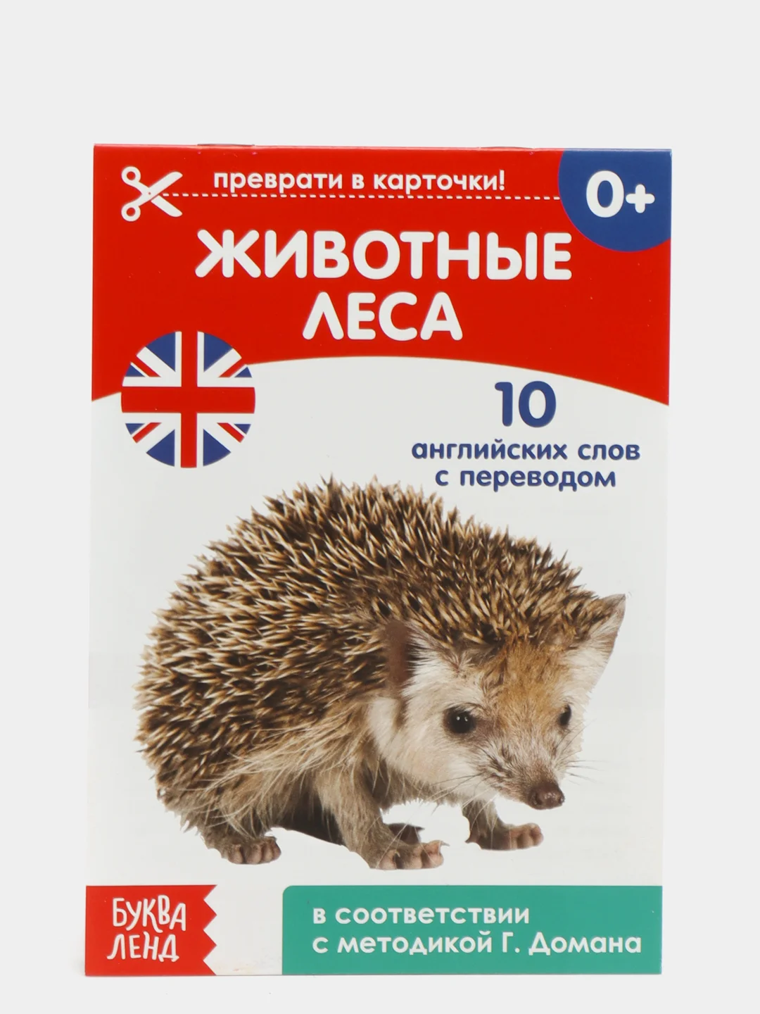 Синий книги-карточки Домана на английском языке