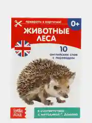 Синий книги-карточки Домана на английском языке