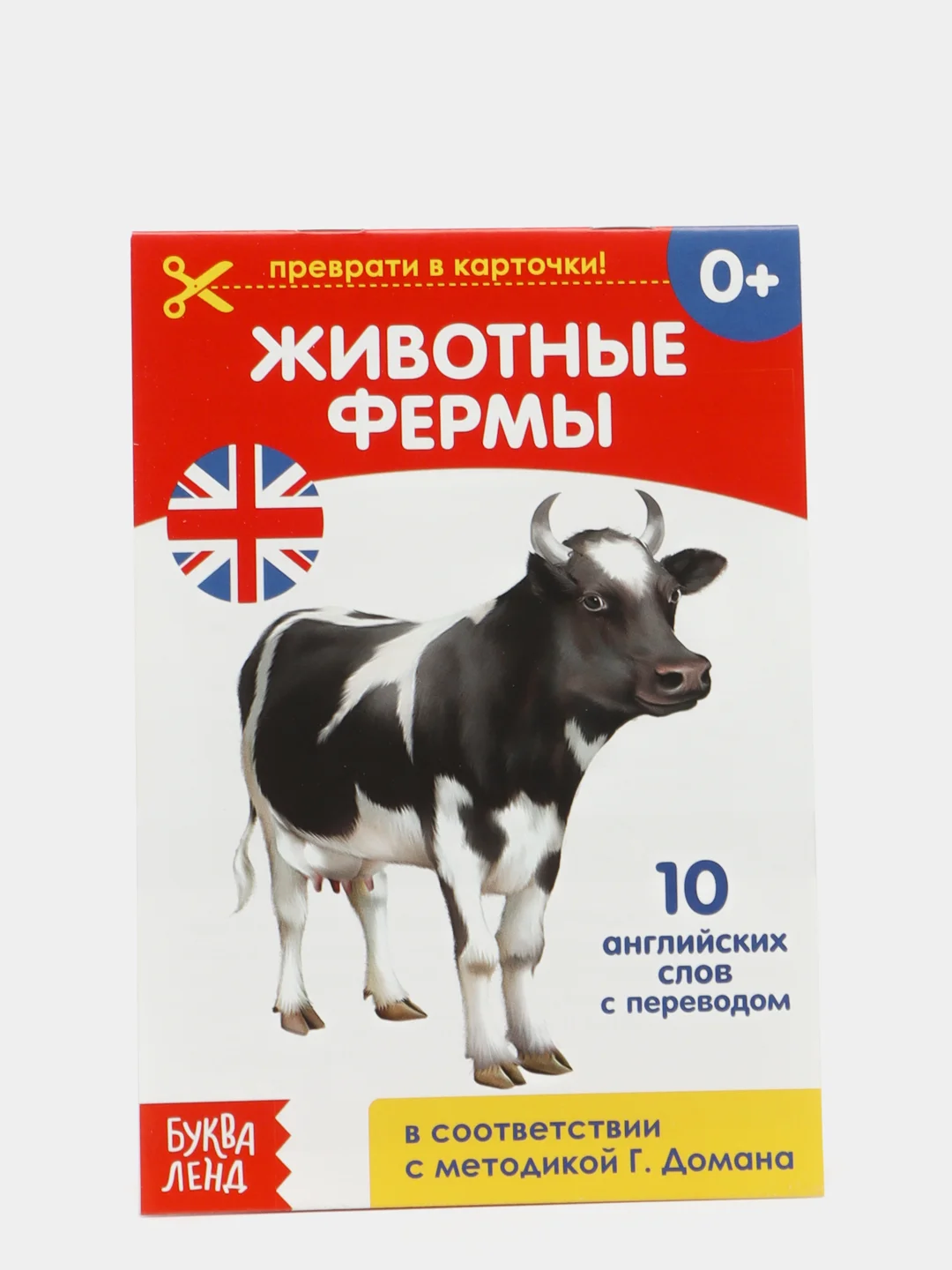 Серый книги-карточки Домана на английском языке