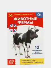 Серый книги-карточки Домана на английском языке