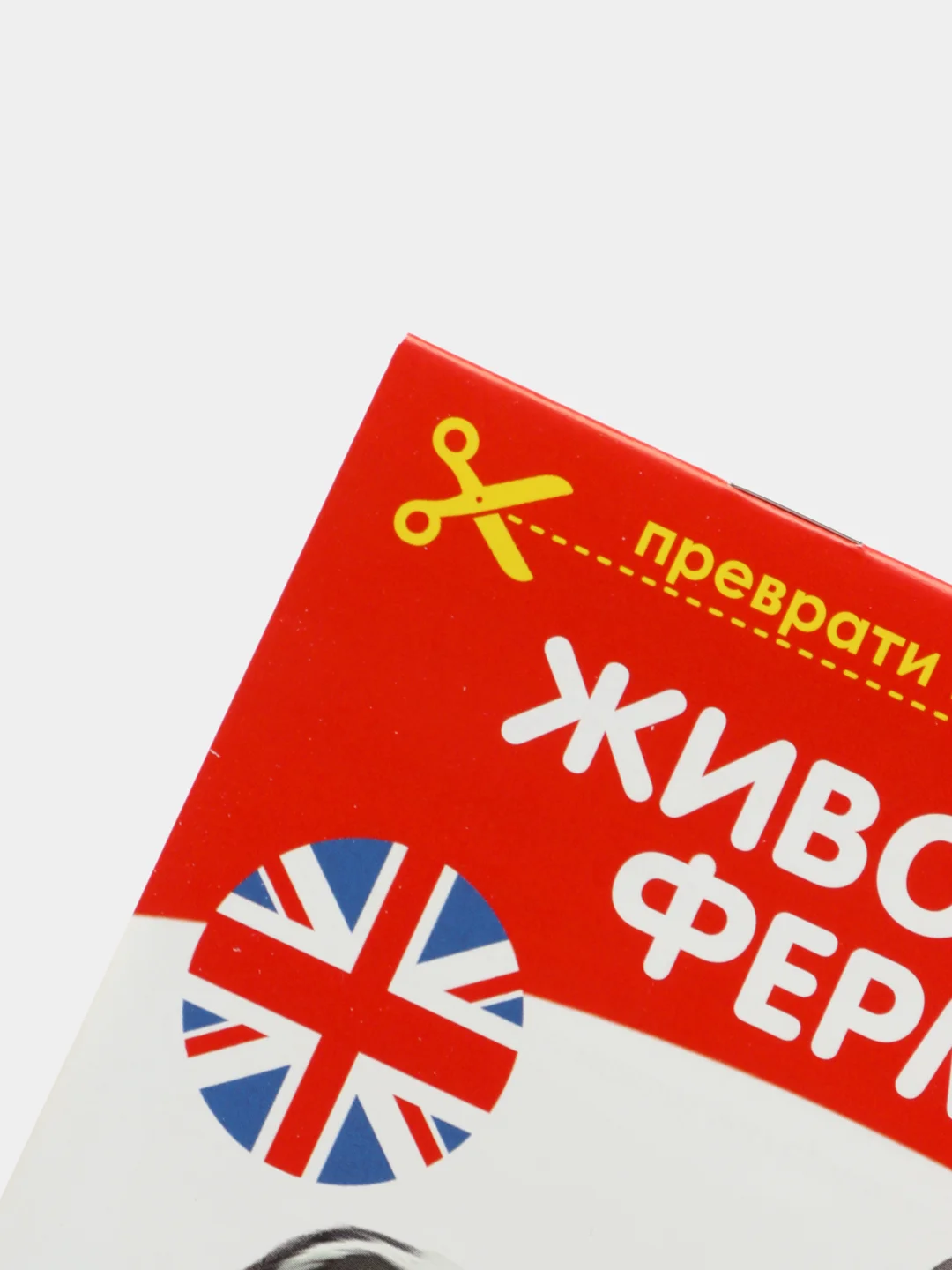 Серый книги-карточки Домана на английском языке