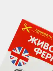 Серый книги-карточки Домана на английском языке