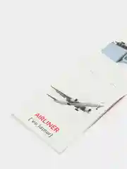 Белый книги-карточки Домана на английском языке
