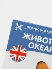 Зеленый книги-карточки Домана на английском языке