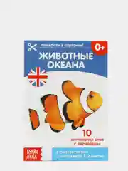 Зеленый книги-карточки Домана на английском языке