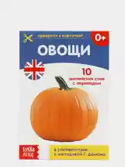 Золотой книги-карточки Домана на английском языке