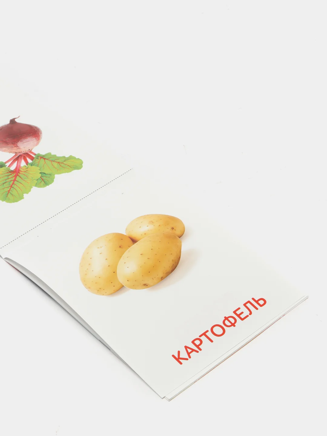 Золотой книги-карточки Домана на английском языке