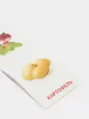 Золотой книги-карточки Домана на английском языке