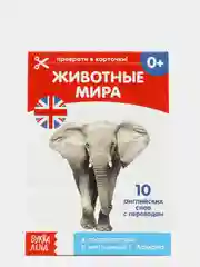 Желтый книги-карточки Домана на английском языке