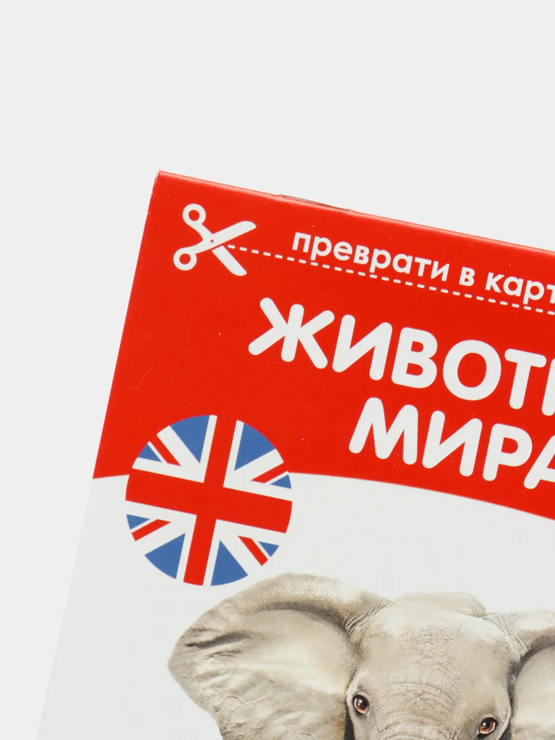 Желтый книги-карточки Домана на английском языке