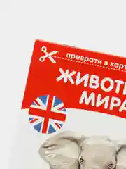 Желтый книги-карточки Домана на английском языке