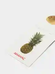 Красный книги-карточки Домана на английском языке