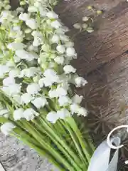 Розовый разделочная доска, сувенирная