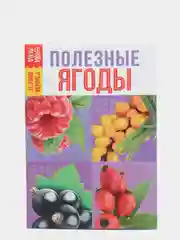 Угольный обучающие книги "Овощи, Цветы, Природные явления, Деревья, Ягоды, Фрукты"