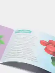 Угольный обучающие книги "Овощи, Цветы, Природные явления, Деревья, Ягоды, Фрукты"