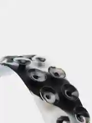 Бежевый антистресс-игрушка squidopop присоска, pop tube