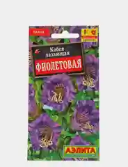 Кобея лазающая Фиолетовая, семена цветы, Аэлита