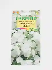 Флокс Очарование белое (семена,цветы)