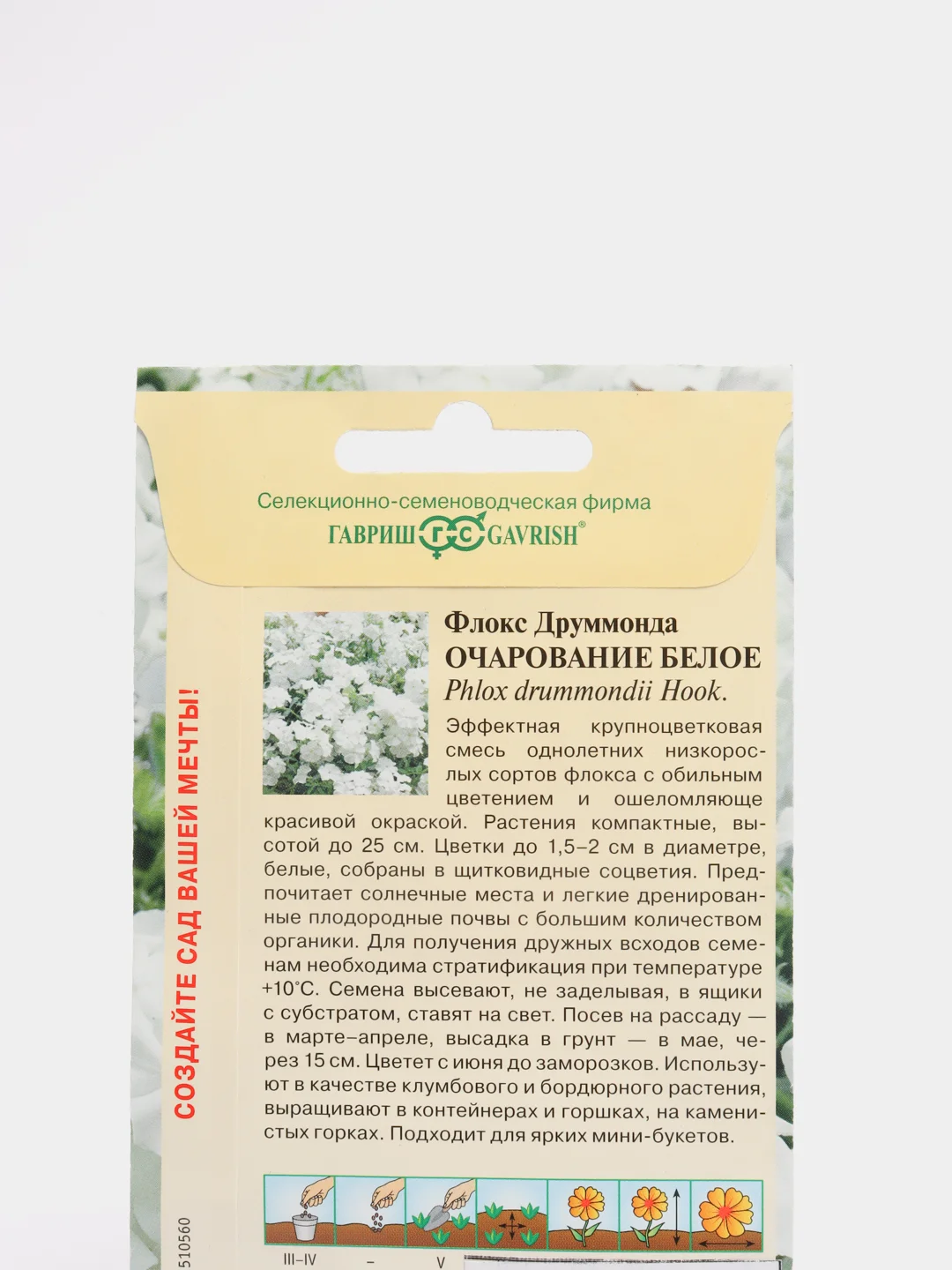 Флокс Очарование белое (семена,цветы)
