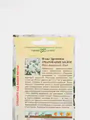 Флокс Очарование белое (семена,цветы)