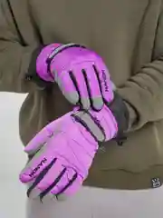 Фиолетовый зимние перчатки, горнолыжные, унисекс