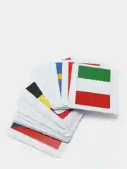 Развивающие карточки для детей "Страны и флаги" (60 карточек)