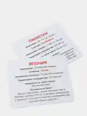 Развивающие карточки для детей "Страны и флаги" (60 карточек)