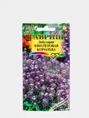 Лобулярия Фиолетовая королева (семена, цветы)