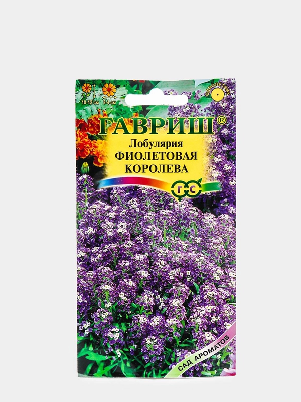 Лобулярия Фиолетовая королева (семена, цветы)