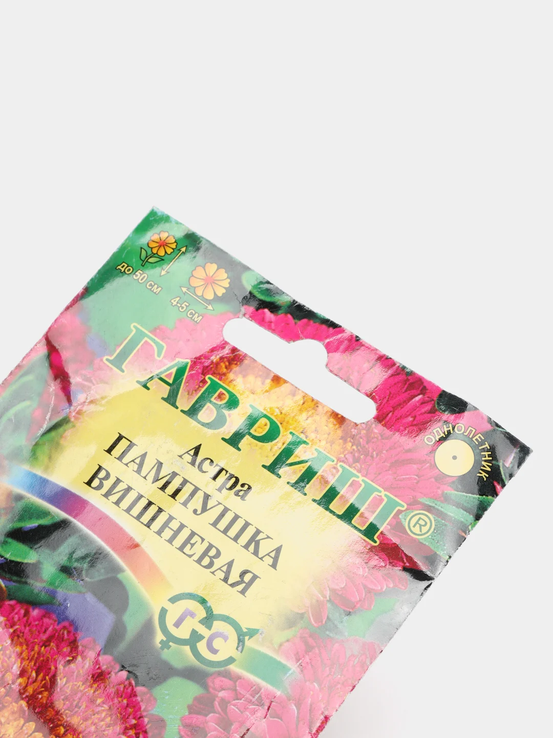 Семена цветов Астра "Пампушка вишневая"