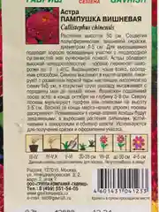 Семена цветов Астра "Пампушка вишневая"