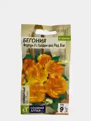 Бегония Фортун голден виз ред бэк, семена, цветы