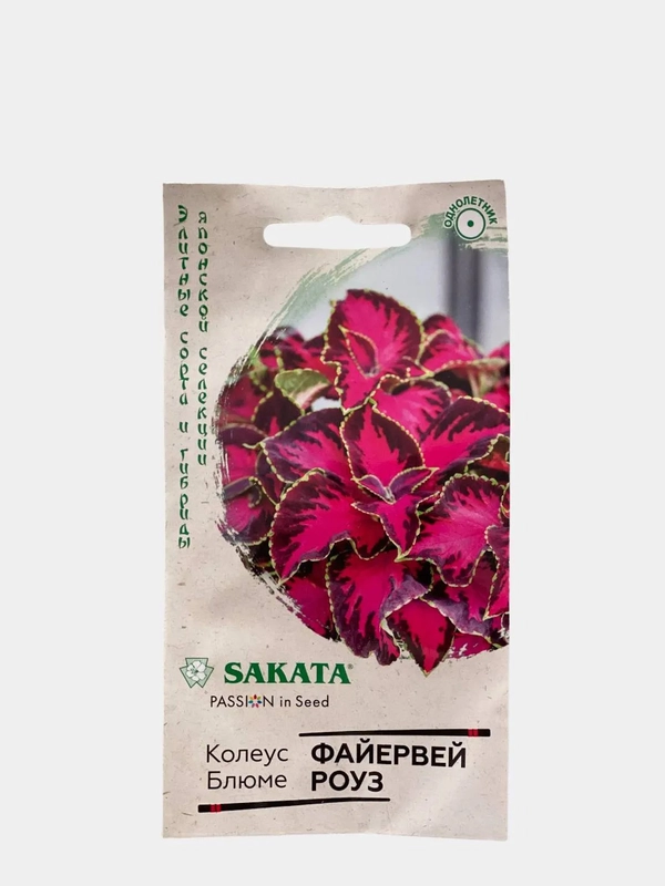 Колеус "Файервей роуз", семена, цветы