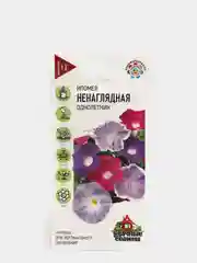 Семена цветка "Ипомея Ненаглядная"
