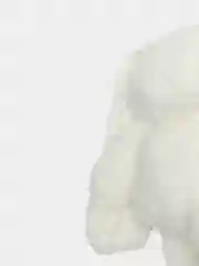 Белый заяц с тянущимися ушами антистресс