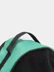 Бирюзовый переноска для кошек и собак, 3 размера