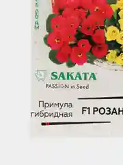 Примула "Розанна смесь" (семена, цветы)