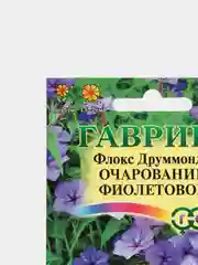 Флокс "Очарование Фиолетовое" (семена, цветы)