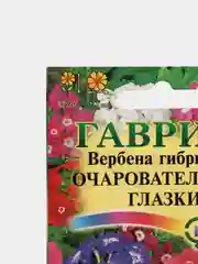 Вербена Очаровательные глазки, семена