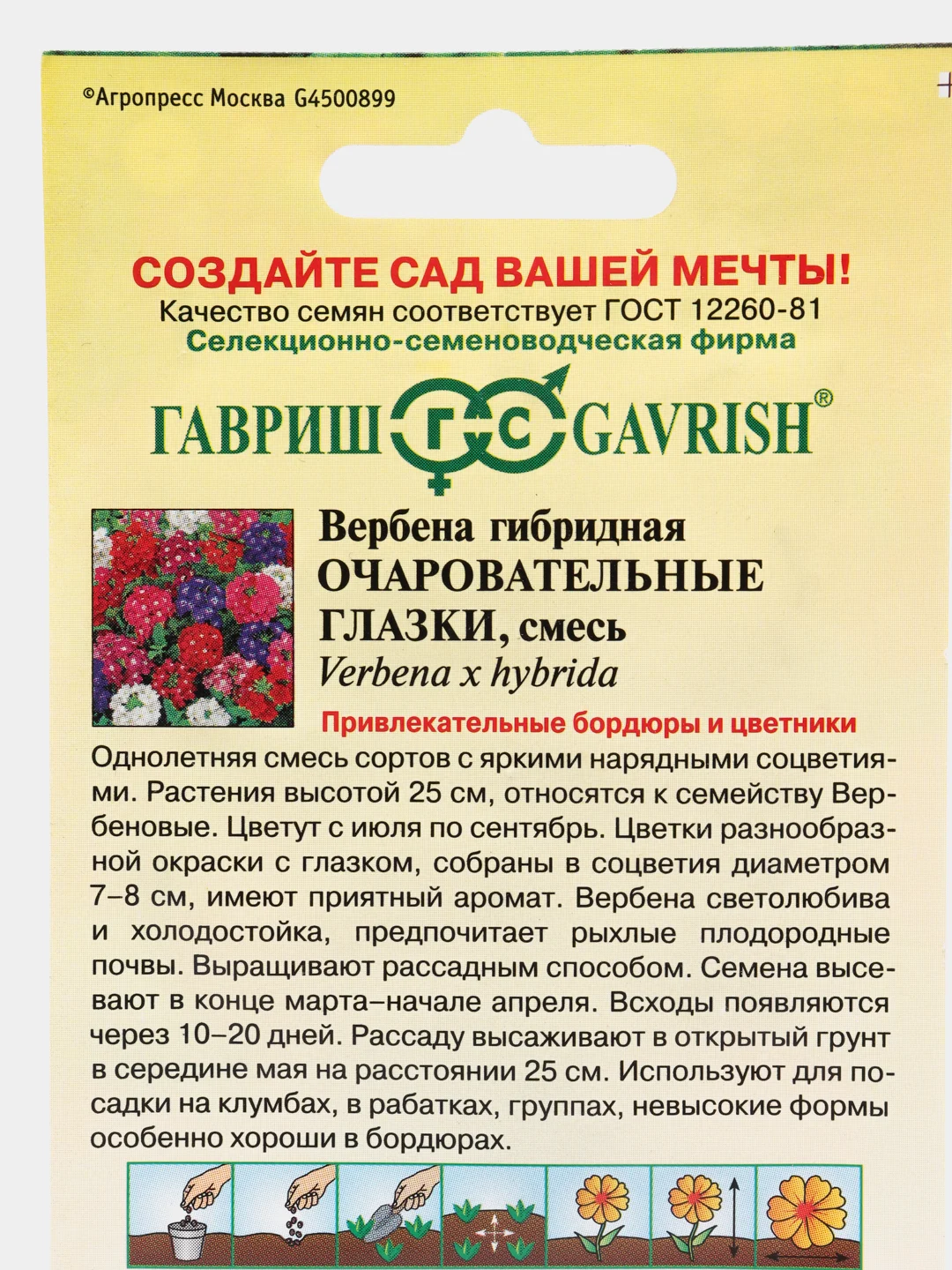 Вербена Очаровательные глазки, семена