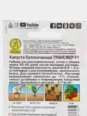 Капуста белокочанная Трансфер F1 (семена)